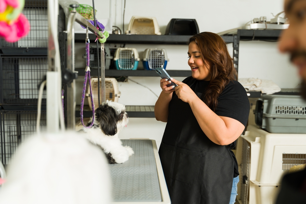 Groomer looking at phone